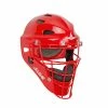 Allstar Player's Series Helmet - Youth